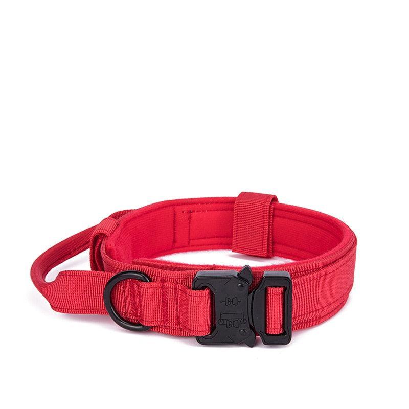 Durable Dog Collar