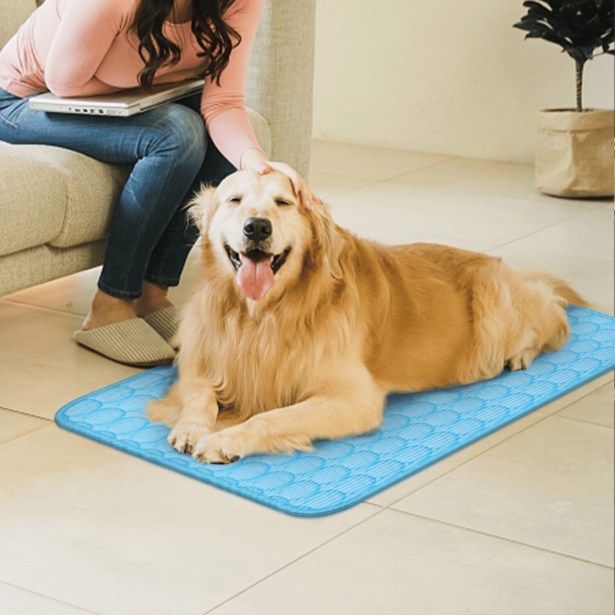 Summer Cooling Pet Pad