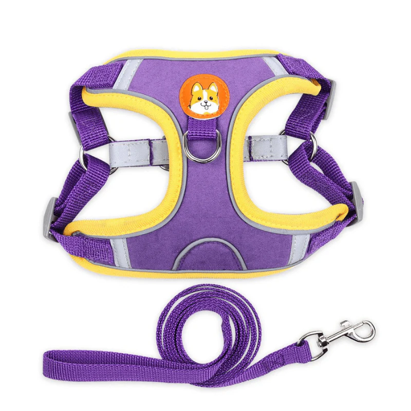 Colorful Dog Harness and Leash Combo