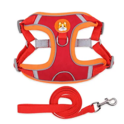 Colorful Dog Harness and Leash Combo