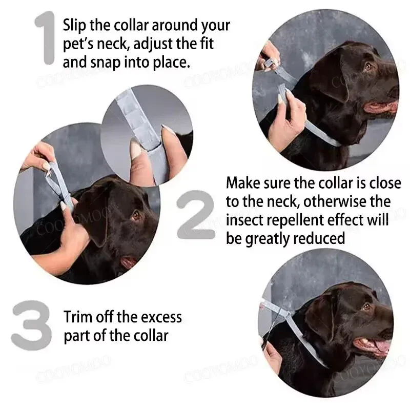 Flea and Tick Collar for Small and Large Dogs and Cats - Provides 8 Months of Protection and is Vet-Recommended