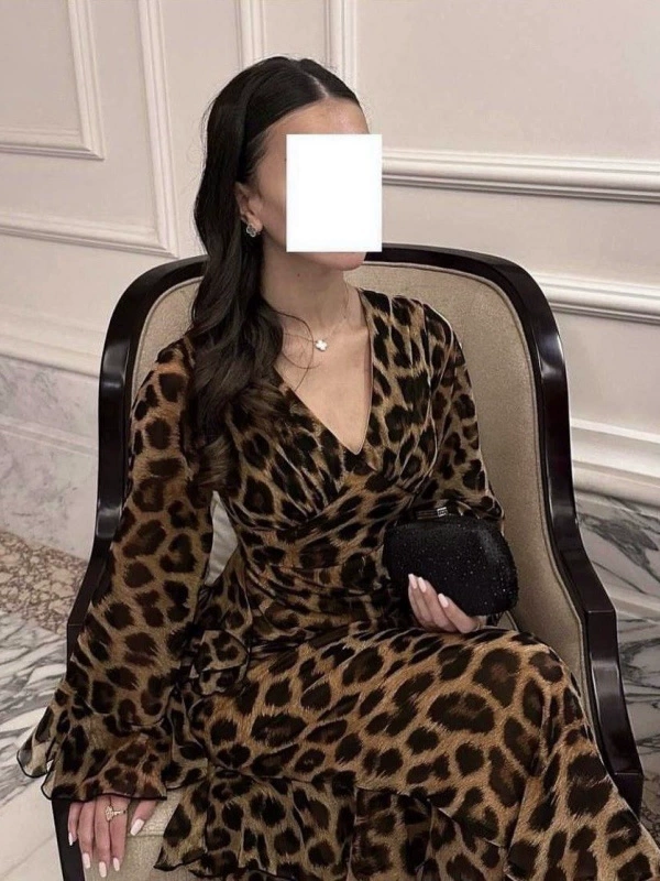 Chiffon Leopard Print V-Neck Long Sleeve Dress