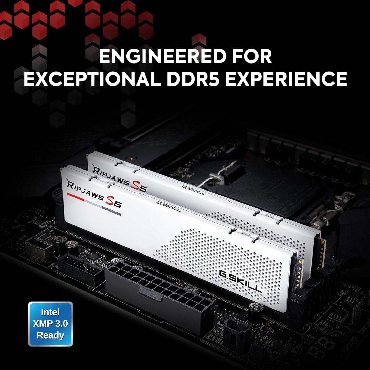 Ripjaws S5 Series (Intel XMP 3.0) DDR5 RAM 32GB (2x16GB) 6000MT/s CL36-36-36-96 1.35V Desktop Computer Memory UDIMM - Matte Black (F5-6000J3636F16GX2-RS5K)