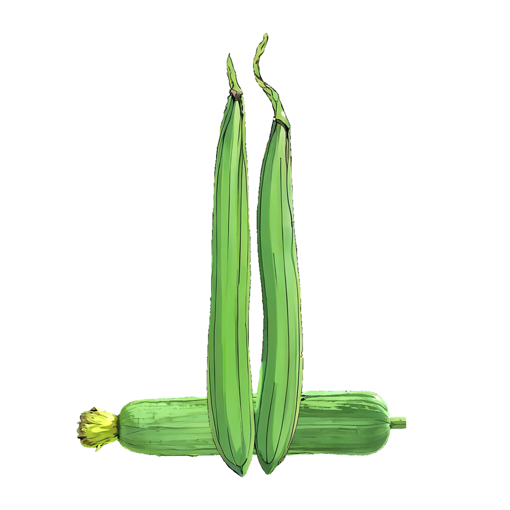 Luffa