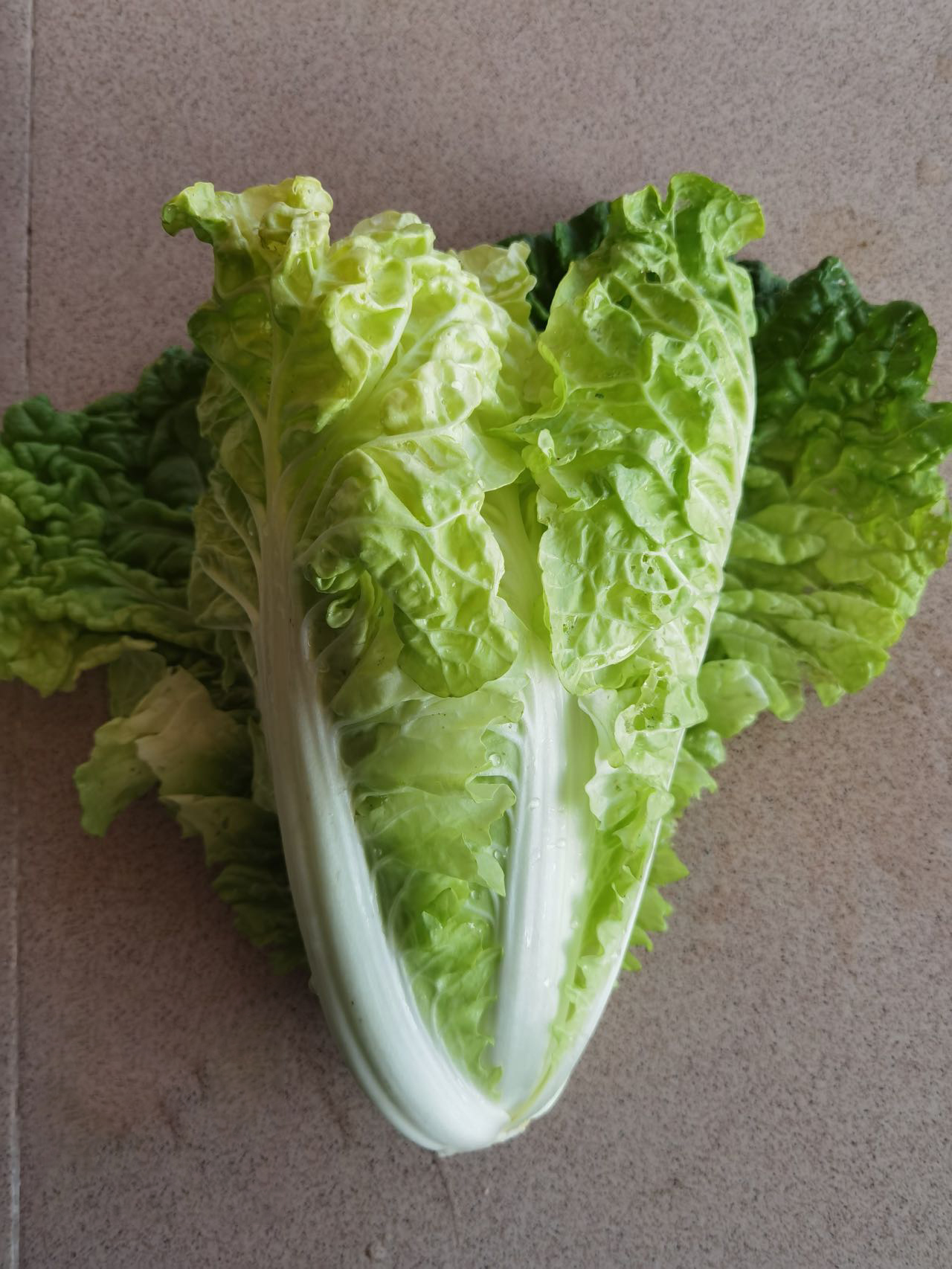 Zaohuangbai No.3 Early Ripening Hybrid Napa Cabbage