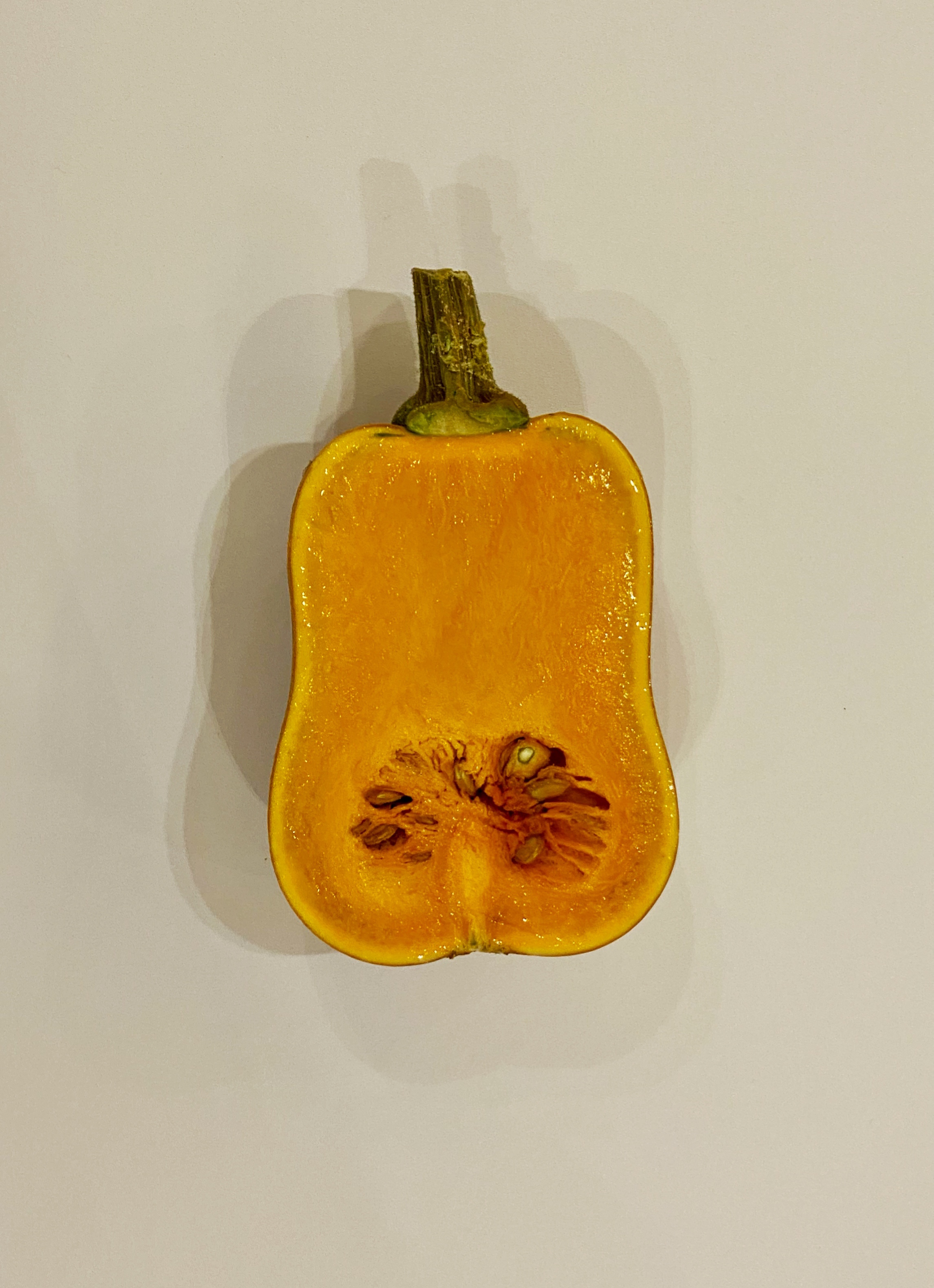 Golden Deary Pumpkin