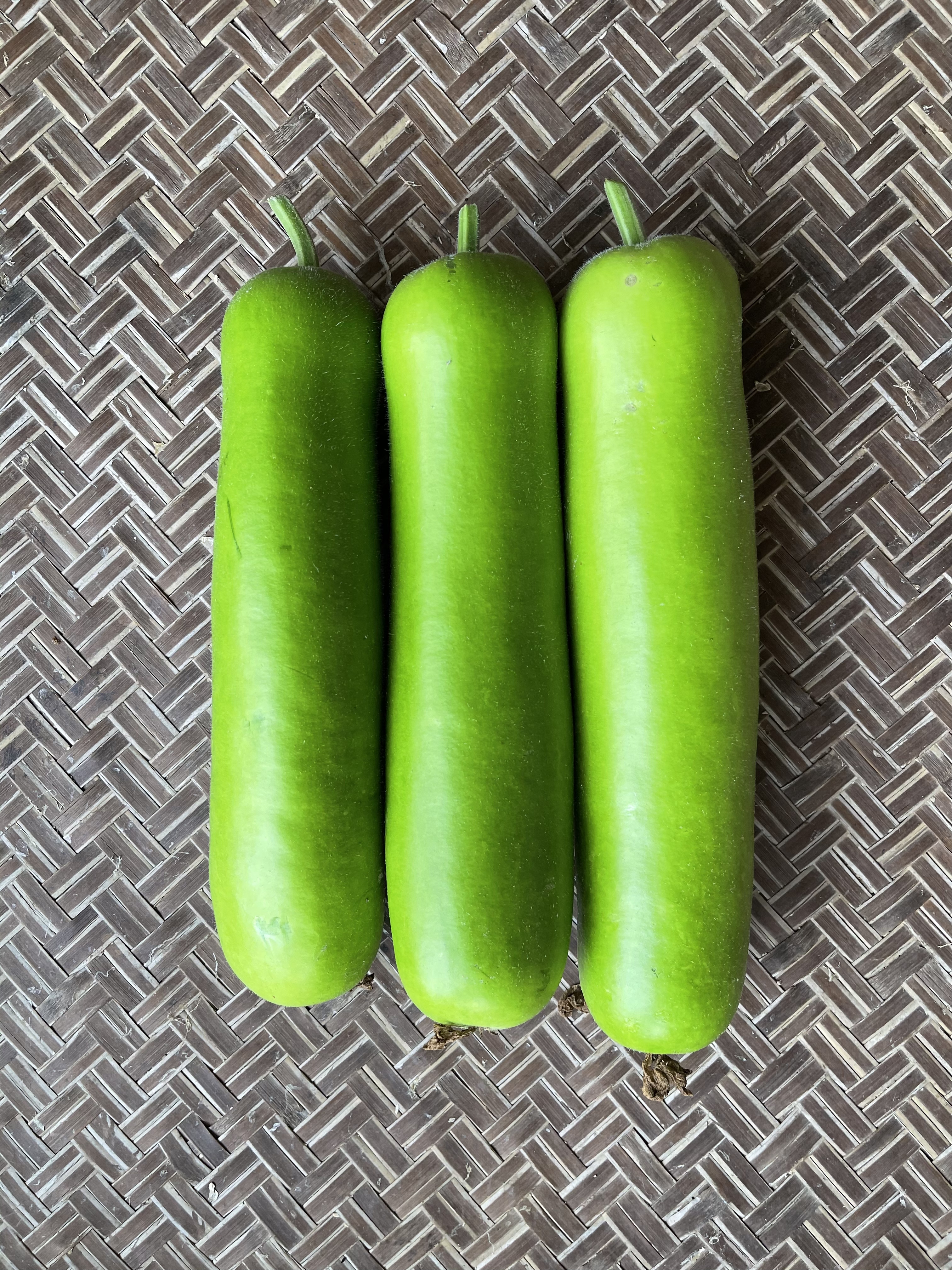 Shantou No.4 Bottle Gourd