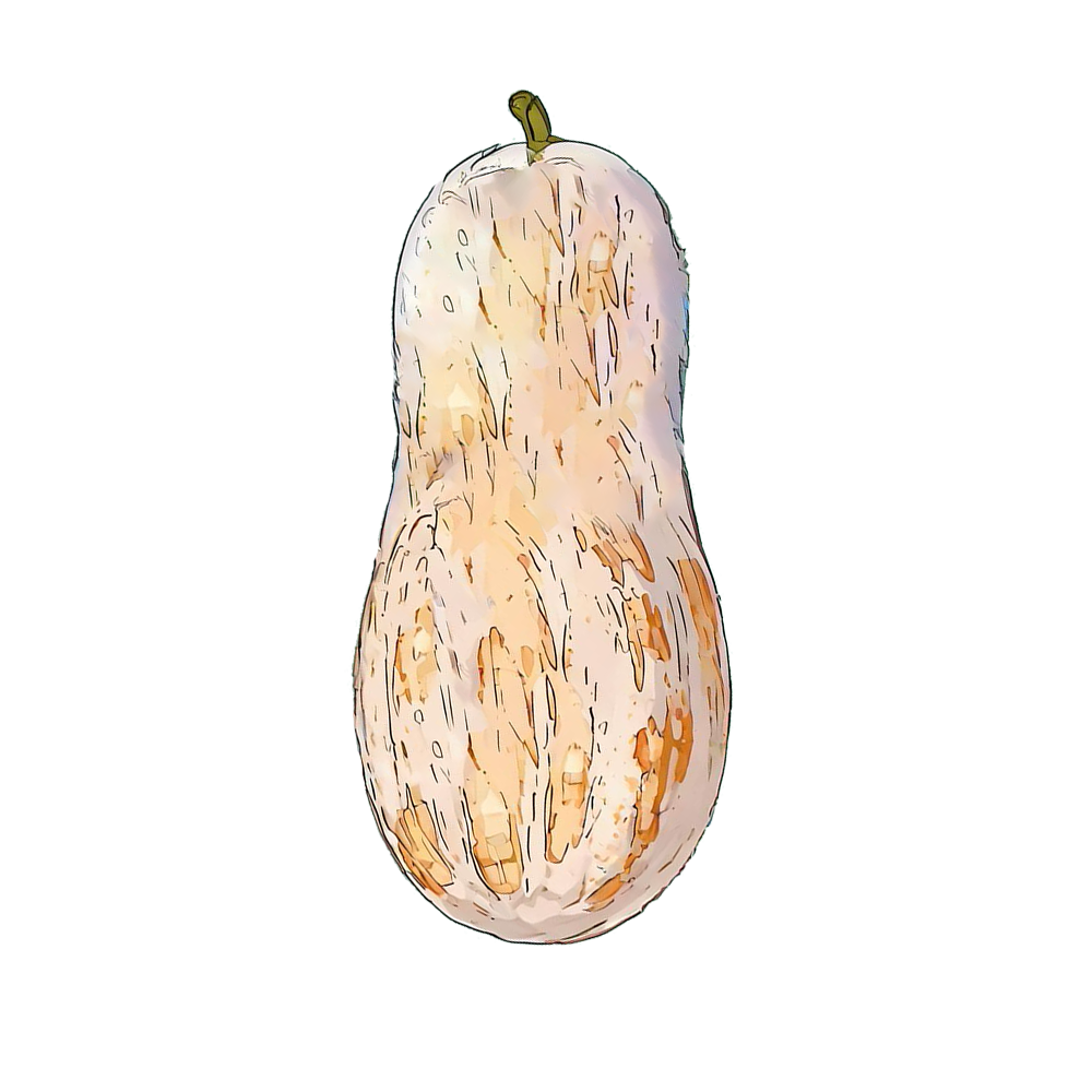Pumpkin