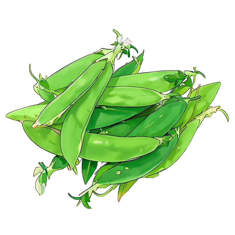 Snow Pea / Yardlong Bean
