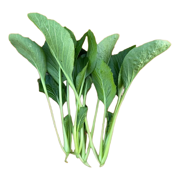 Hybrid No.901 Choy Sum