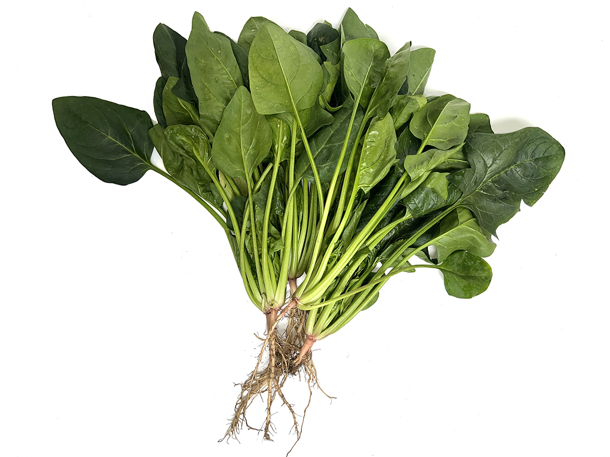 FujiJi Spinach