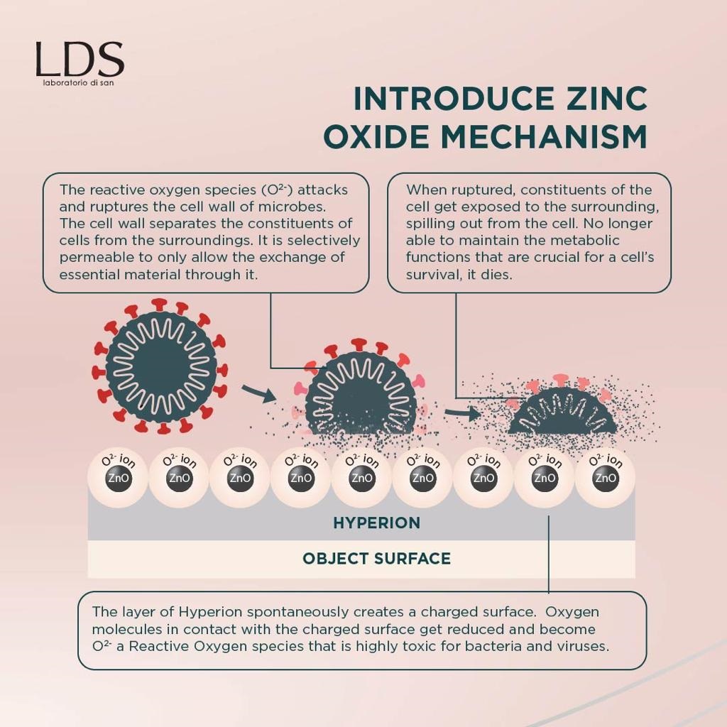 LDS Antimicrobial Moisturizing Lotion