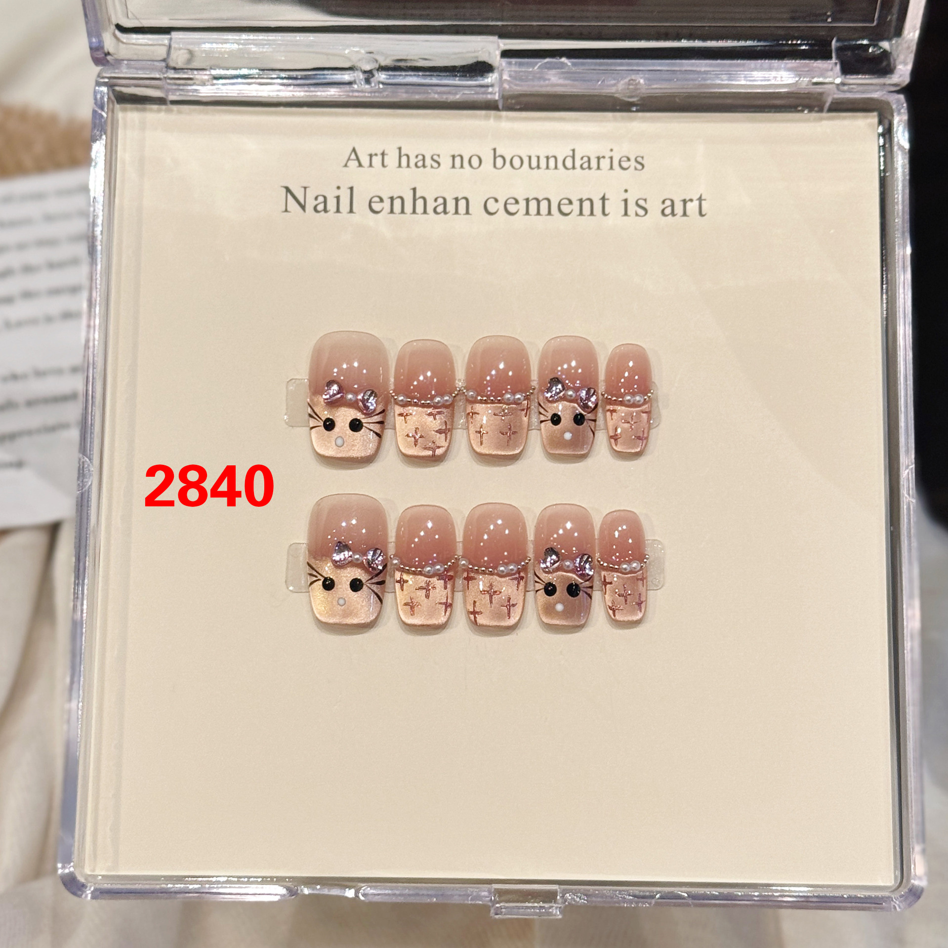 DANNOROLA  ネイルチップ 2840