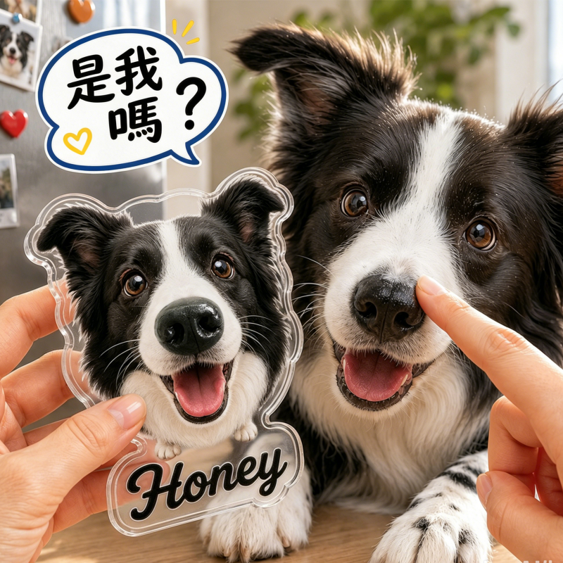 客製化狗鼻子 Squishy 冰箱貼 - 個性化寵物鼻子擠壓玩具,帶有定制面孔和名字
