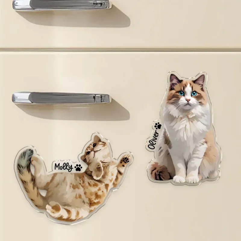 客製化寵物照片冰箱貼,個人化壓克力磁貼,可印製寵物名字和肖像,送給愛狗愛貓人士的禮物 - PhotoMoonLampTW