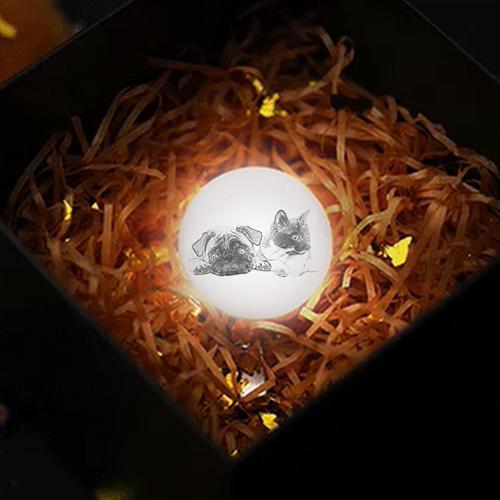 定制彩色照片鑰匙扣 3d 打印寵物月亮燈 - PhotoMoonLampTW