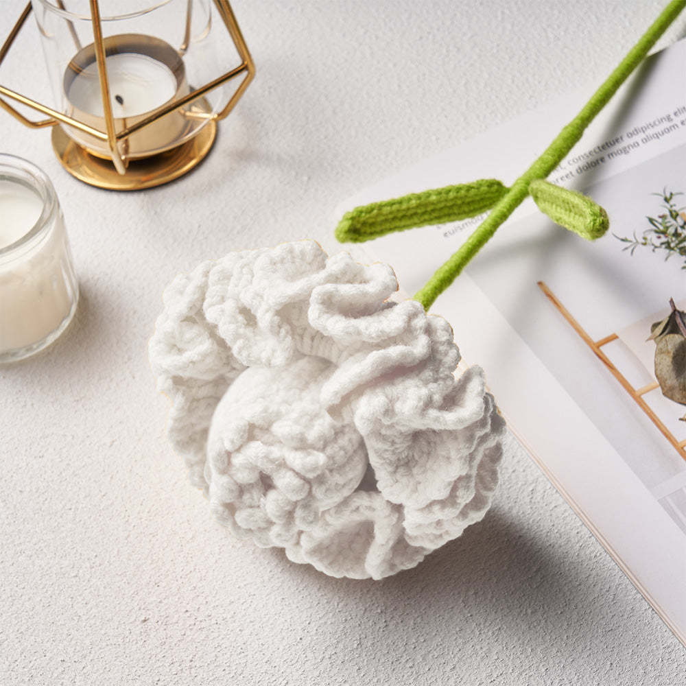 康乃馨仙子鉤針娃娃花手工針織花送給情人的禮物 - PhotoMoonLampTW