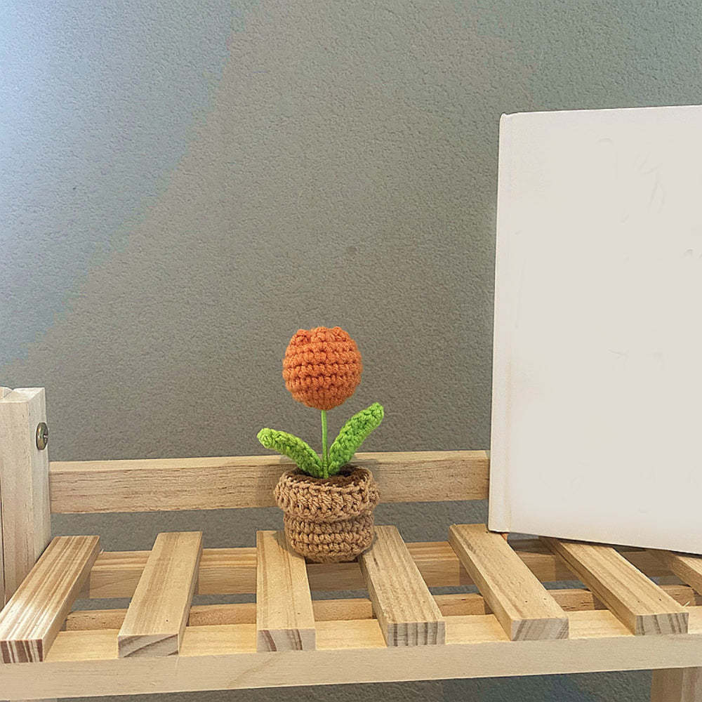 手工鉤針花完成手工編織針織盆栽禮物送給手工藝愛好者畢業禮物 - PhotoMoonLampTW