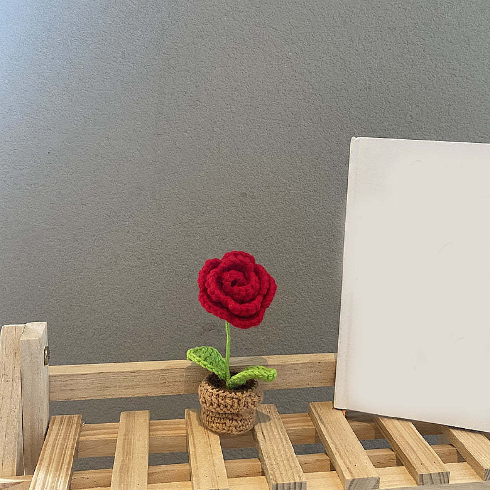 手工鉤針花完成手工編織針織盆栽禮物送給手工藝愛好者畢業禮物 - PhotoMoonLampTW