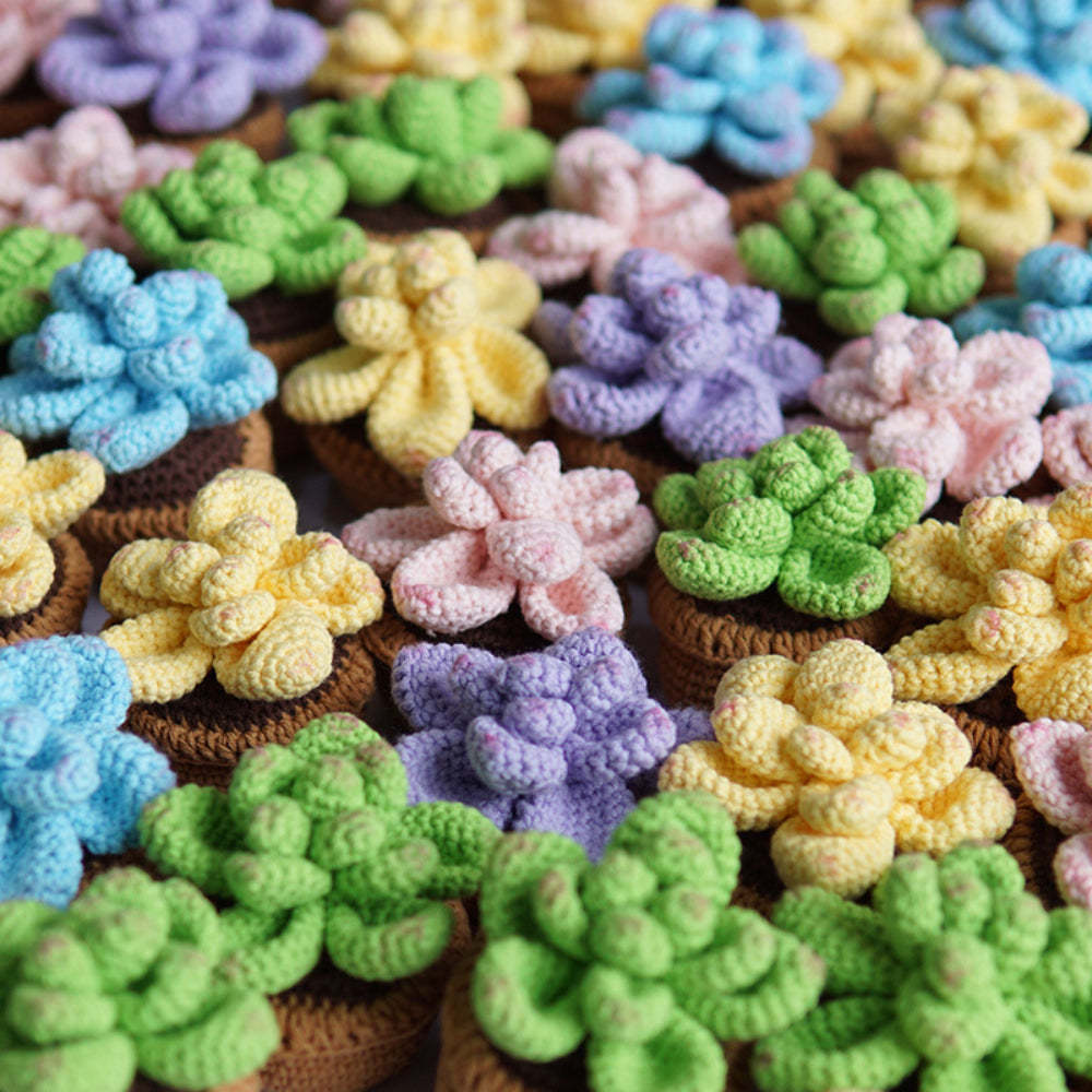 多肉鉤針盆栽成品手工編織針織盆栽禮物送給手工藝愛好者畢業禮物 - PhotoMoonLampTW