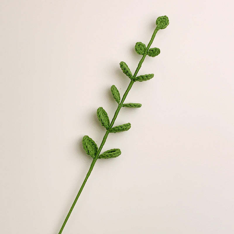 鉤針花桉樹槍手工針織禮物送給她的畢業禮物 - PhotoMoonLampTW