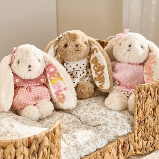個人化兔子毛絨,嬰兒訂製兔子玩具,幼兒毛絨動物,嬰兒送禮會禮物 - PhotoMoonLampTW