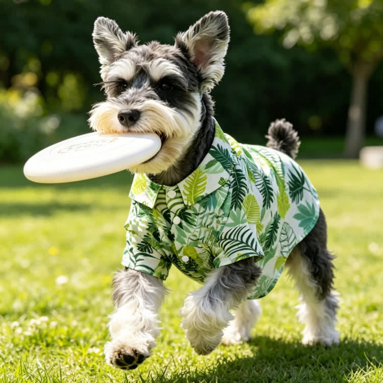 Tropical Leaf Shirt & Matching Dog Shirt - image 6