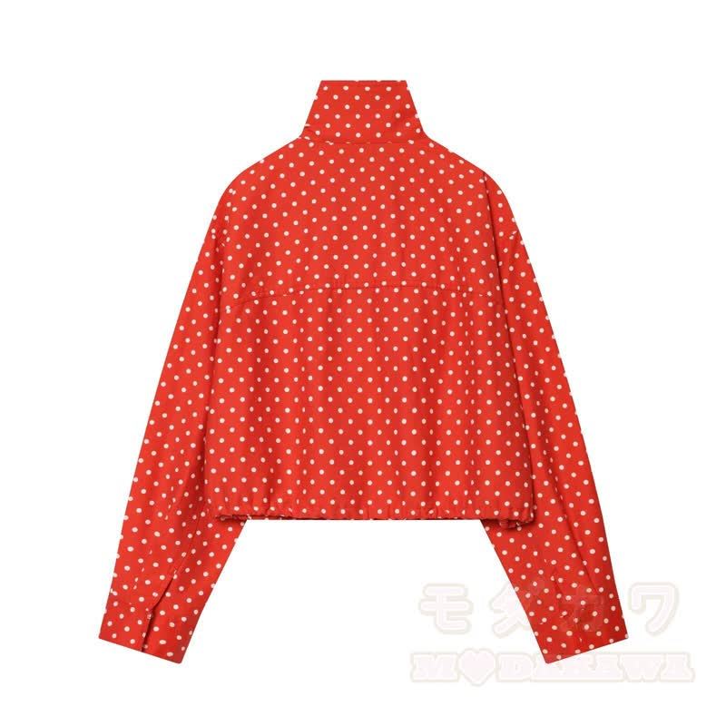 Polka Dot Stand Collar Cropped Jacket And Shorts Two Pieces Set - image 3
