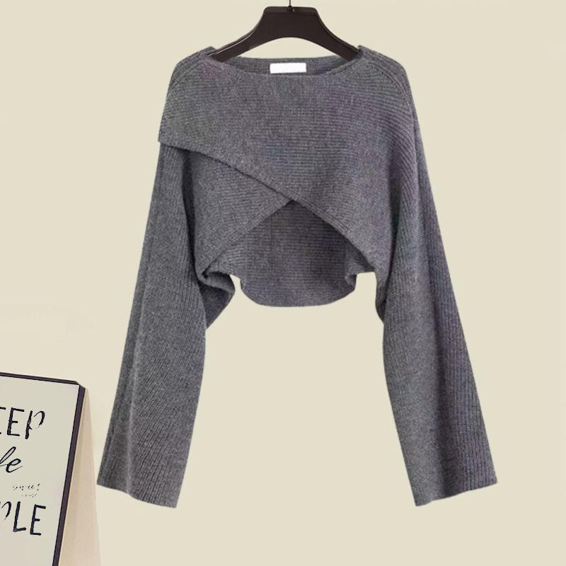 Irregular Short Sweater Slip Dress Matching Outfit - Gray Sweater - One Size - image 3