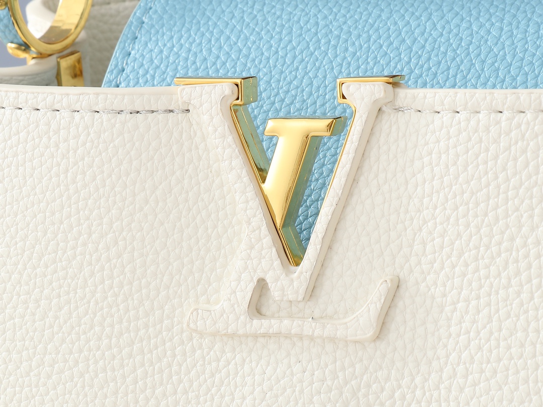 Louis Vuitton Large handbag