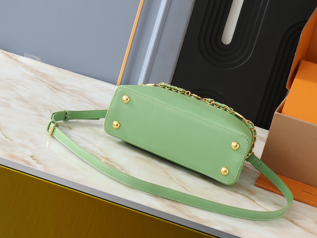 Louis Vuitton Medium handbag