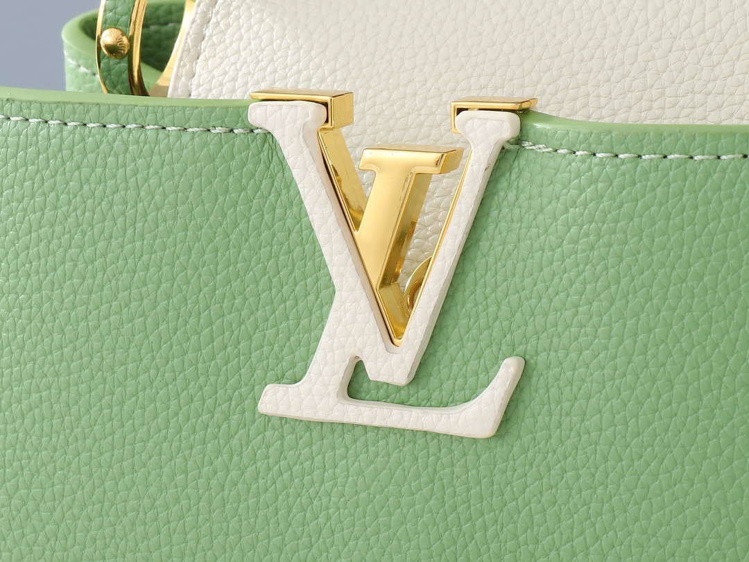 Louis Vuitton Medium handbag