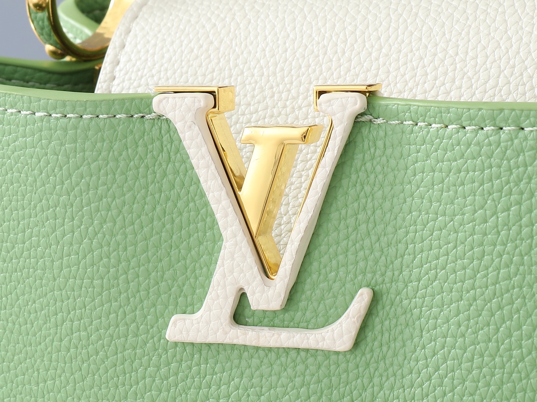 Louis Vuitton Large handbag