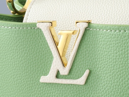 Louis Vuitton Large handbag