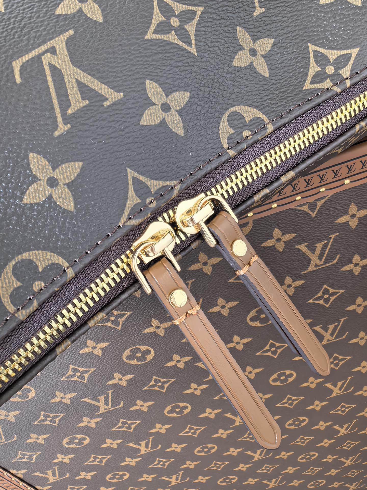 Louis Vuitton New Moon Bag