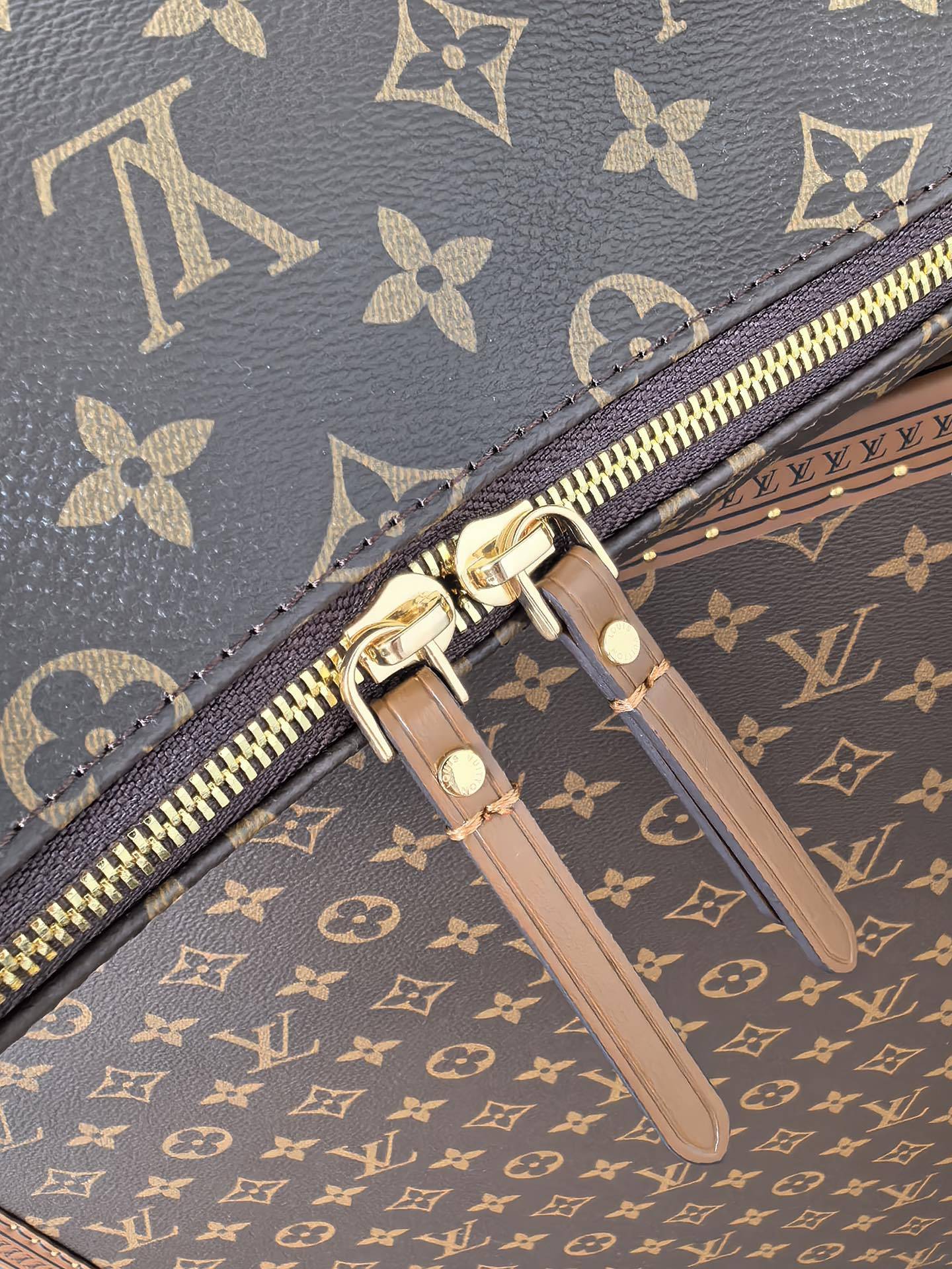 Louis Vuitton New Moon Bag