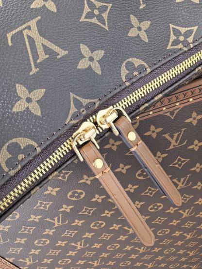 Louis Vuitton New Moon Bag