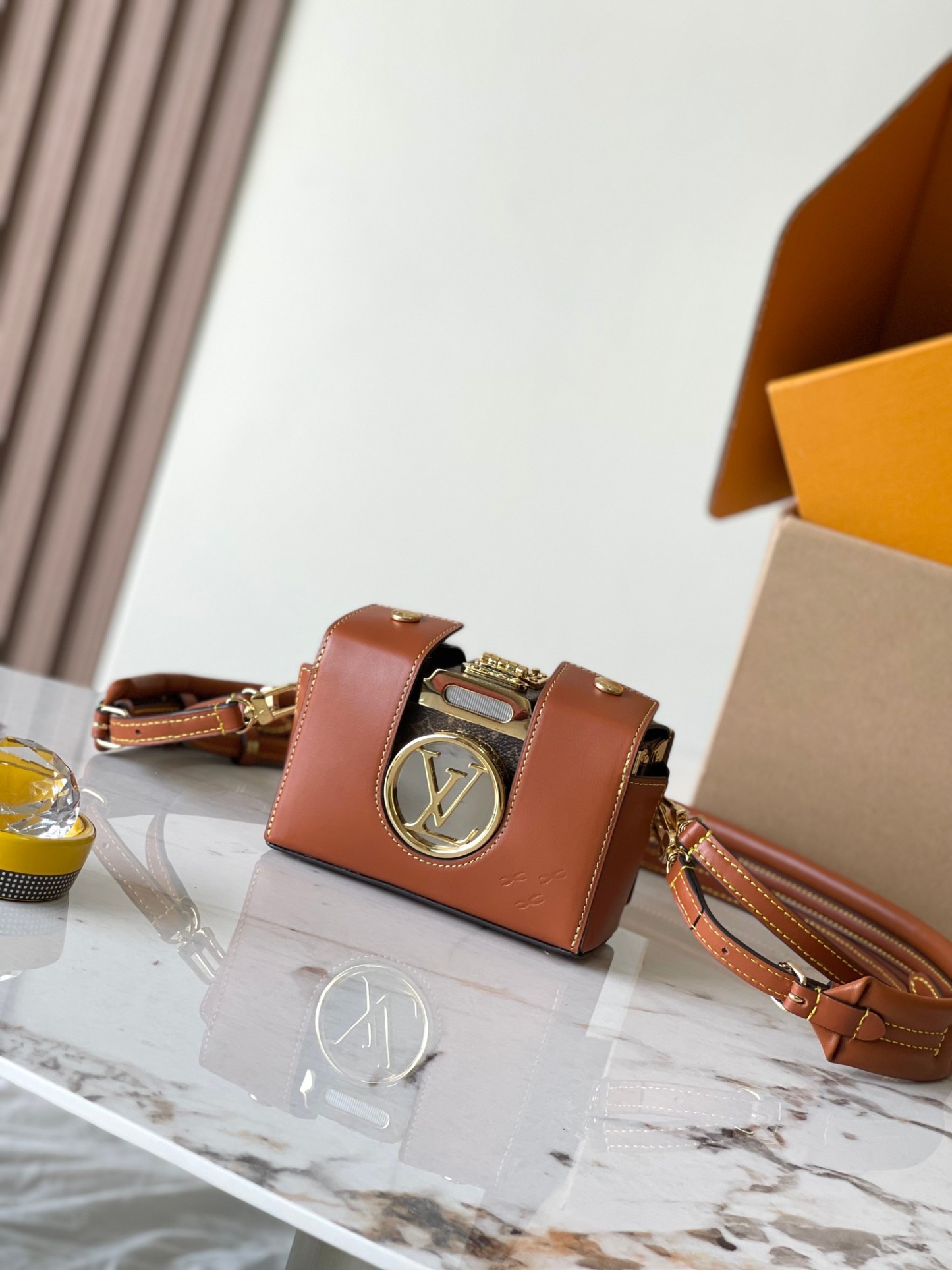 Louis Vuitton Camera bag