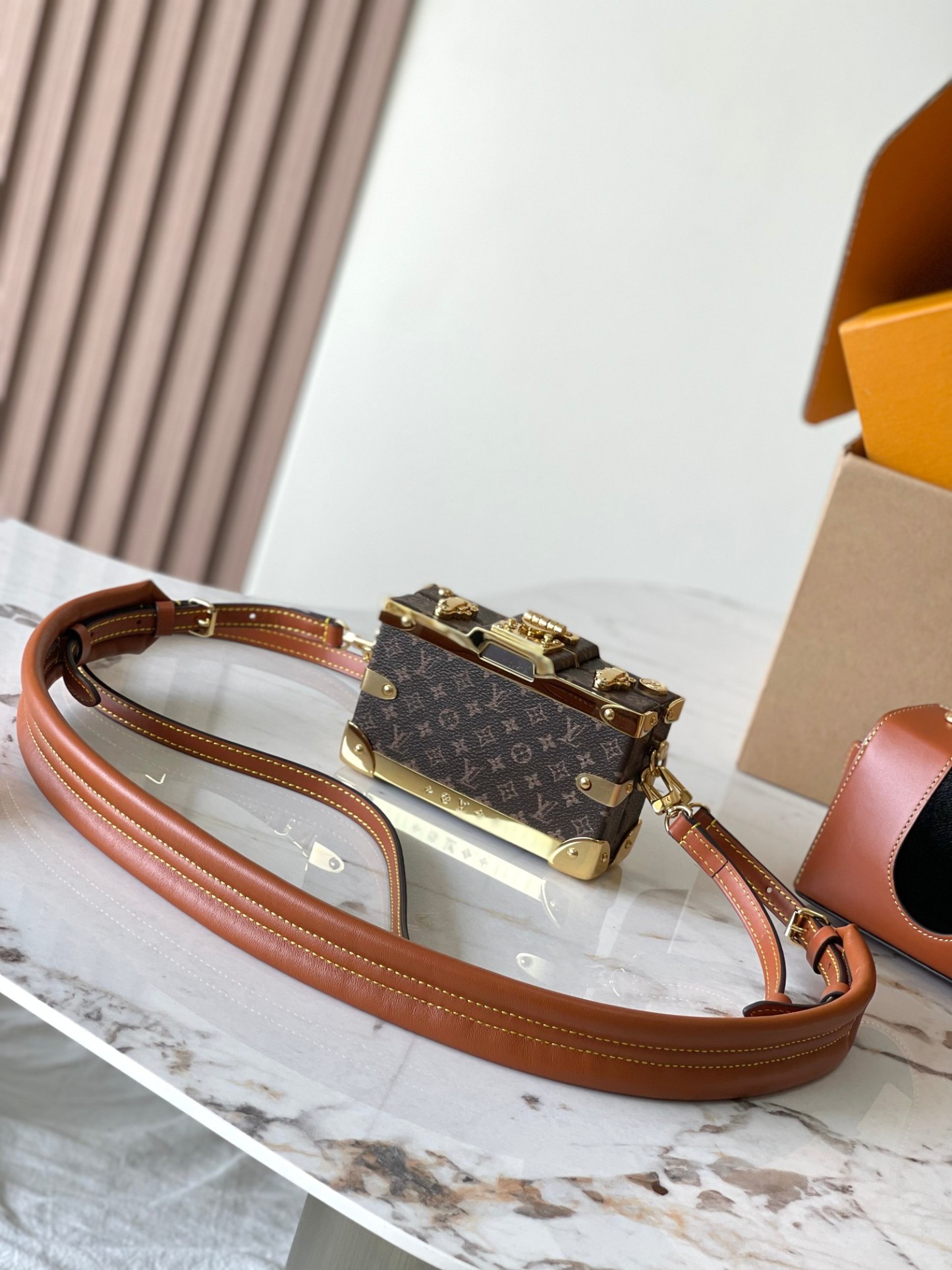 Louis Vuitton Camera bag
