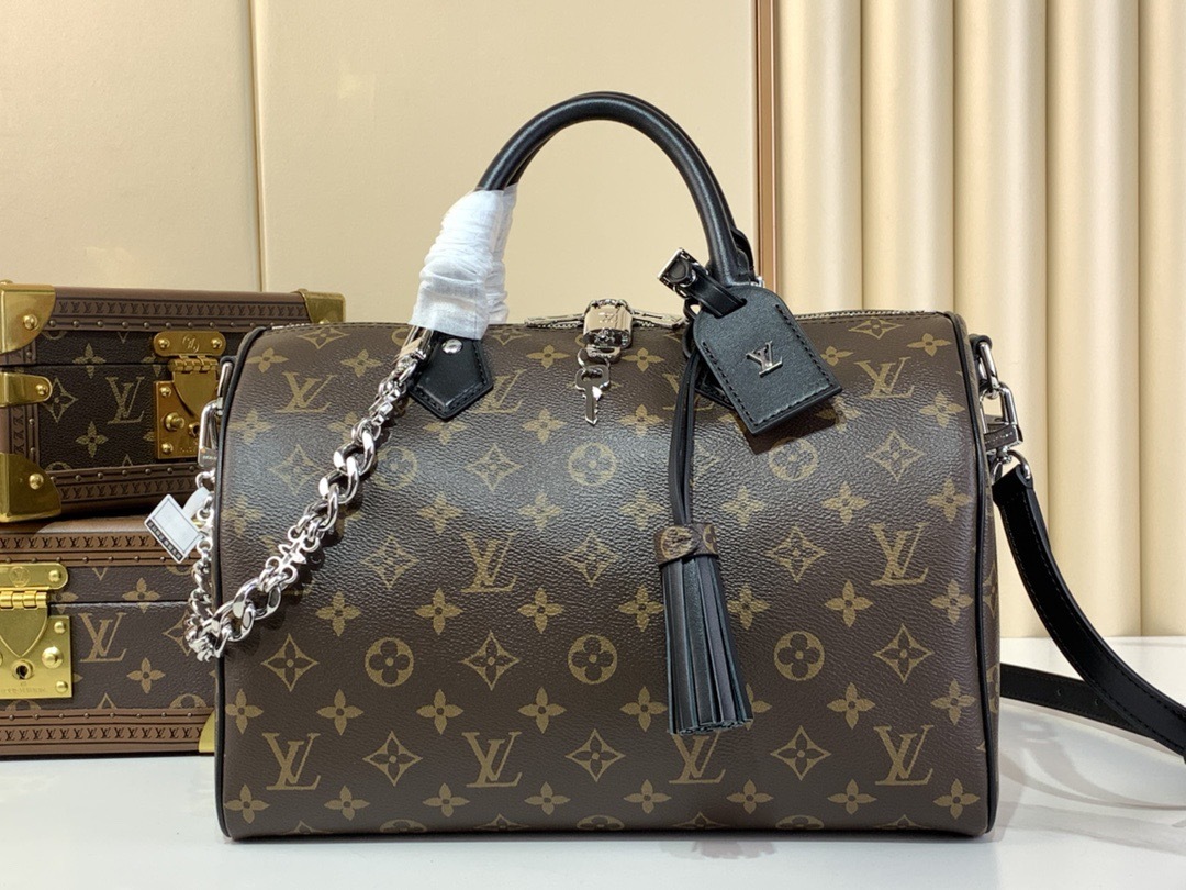 Louis Vuitton speedy soft 30 dark