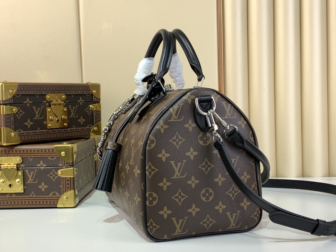 Louis Vuitton speedy soft 30 dark