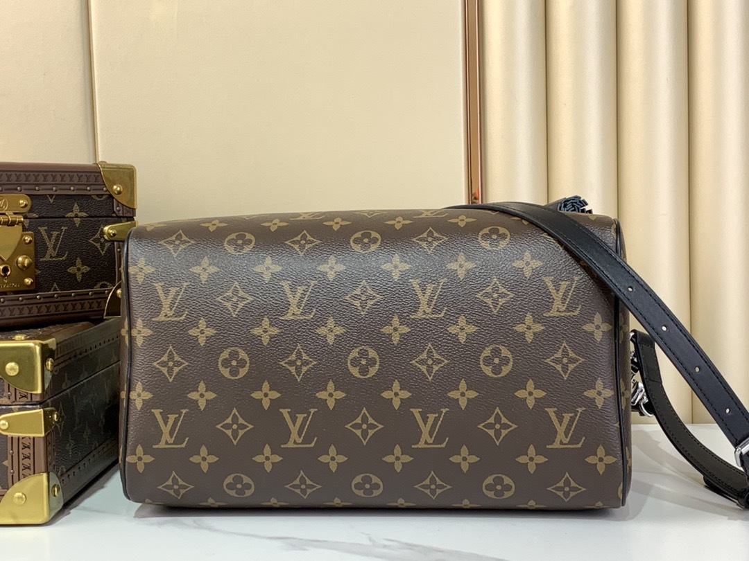 Louis Vuitton speedy soft 30 dark
