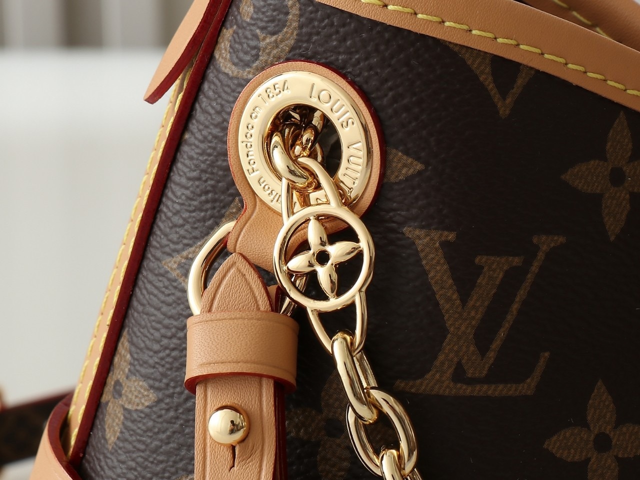 Louis Vuitton CarryAll BB
