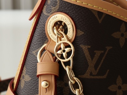 Louis Vuitton CarryAll BB 