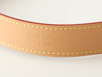 Louis Vuitton CarryAll BB 