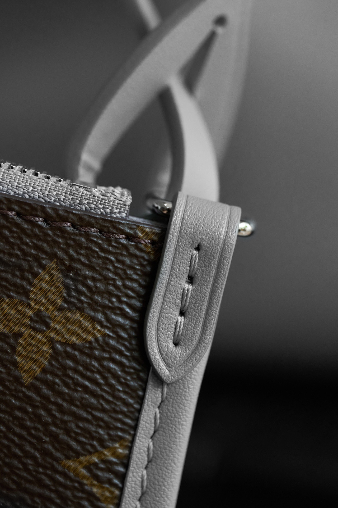 Louis Vuitton CarryAll Vibe MM