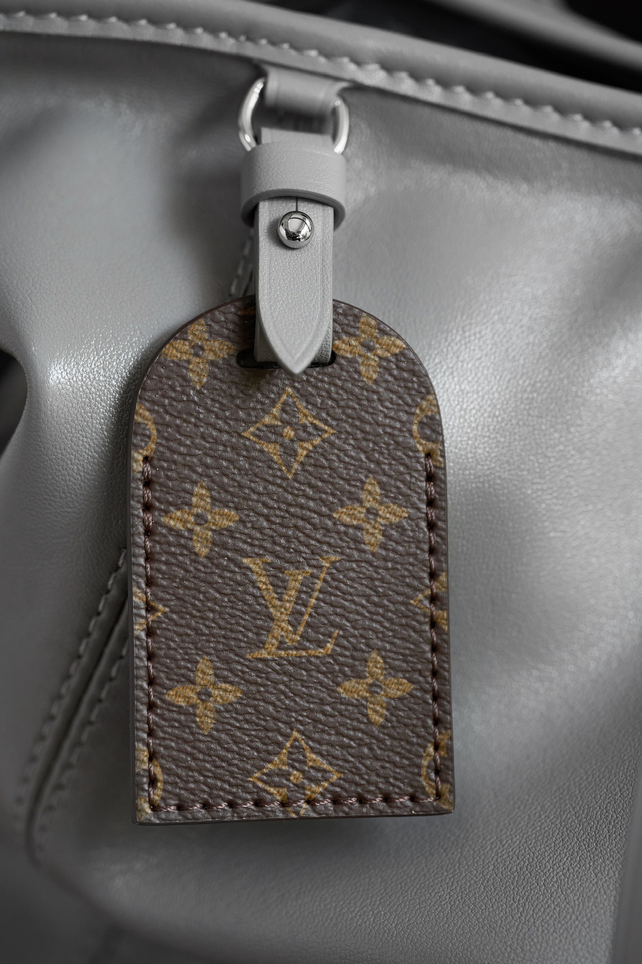 Louis Vuitton CarryAll Vibe MM