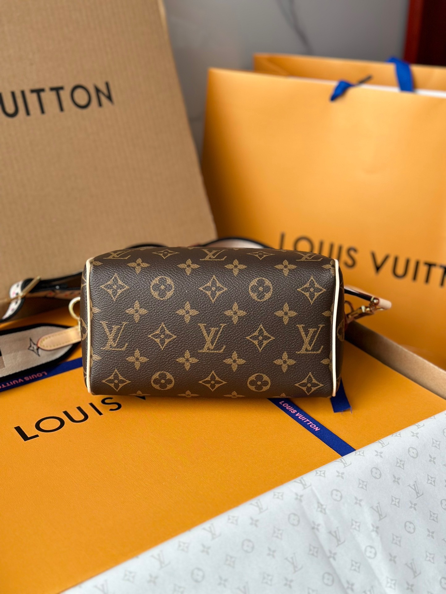 Louis Vuitton Speedy Bandoulière