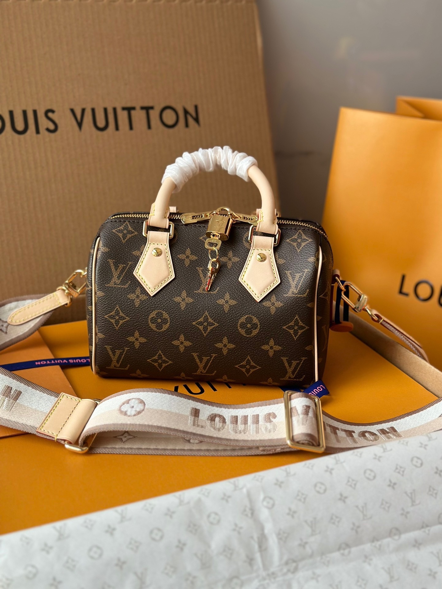 Louis Vuitton Speedy Bandoulière