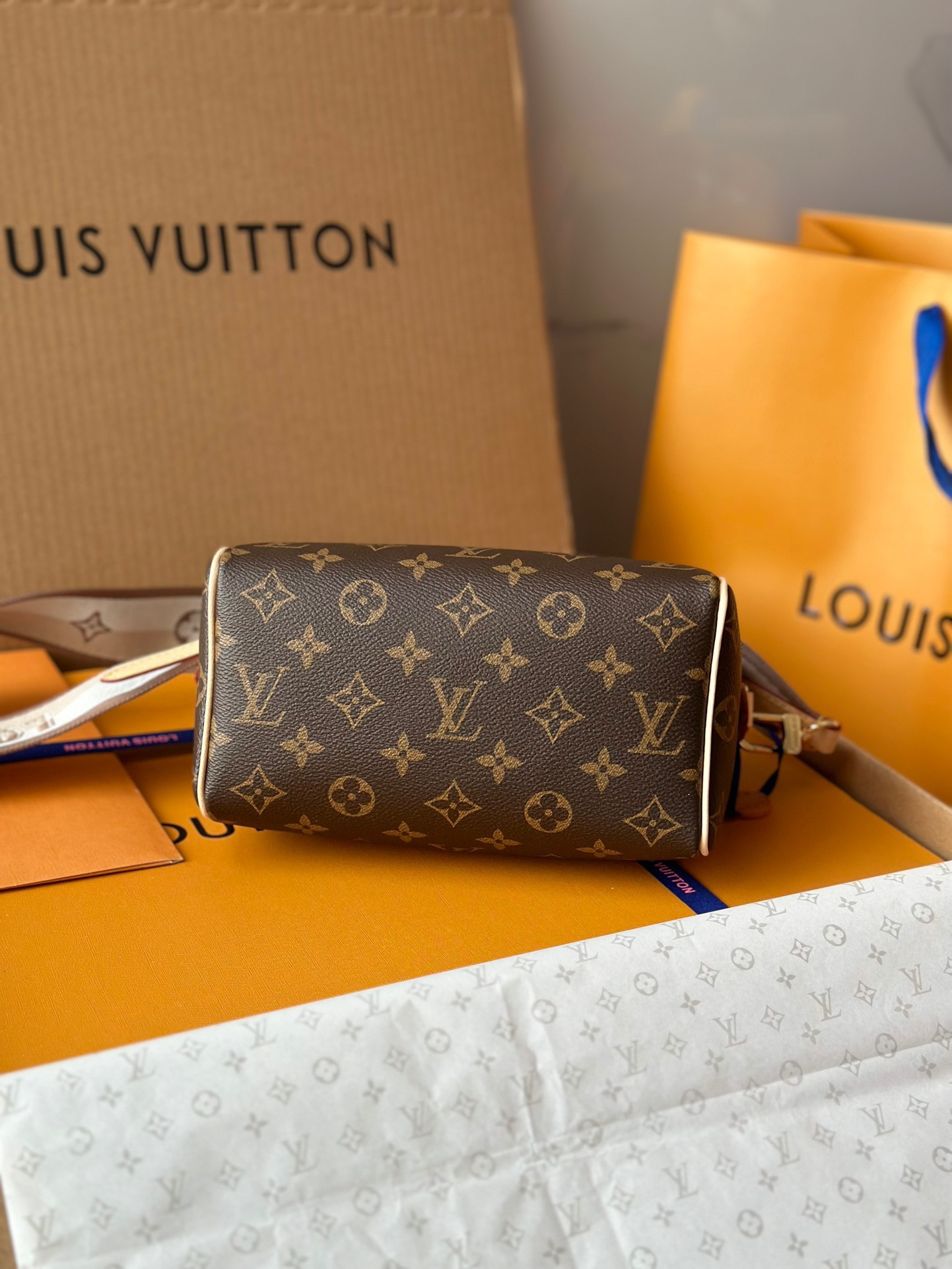 Louis Vuitton Speedy Bandoulière